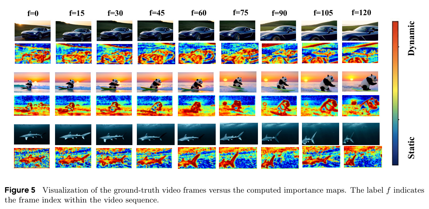 Visualization of the ground-truth video frames versus the computed importance maps.