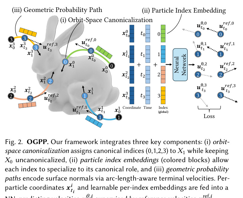 OGPP. Our framework integrates three key components: (i) orbit-space canonicalization assigns canonical indices (0,1,2,3) to X1 while keeping X0 uncanonicalized, (ii) particle index embeddings (colored blocks) allow each index to specialize to its canonical role, and (iii) geometric probability paths encode surface normals via arc-length-aware terminal velocities. Per-particle coordinates x_t^i and learnable per-index embeddings are fed into a NN, predicting velocities u_theta,i^t supervised by reference velocities u_ref,i^t.