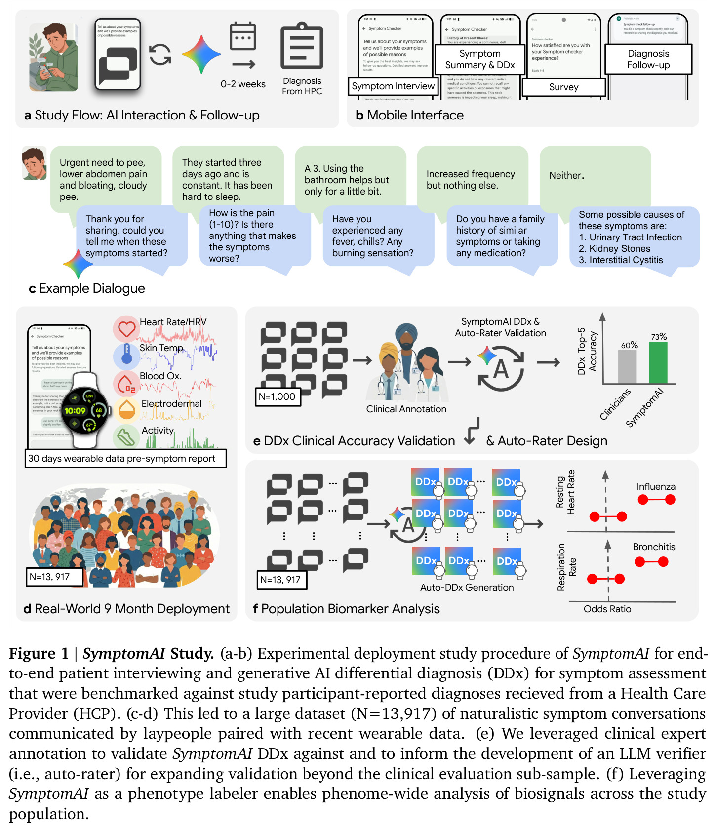 SymptomAI Study. (a-b) Experimental deployment study procedure of SymptomAI for end-to-end patient interviewing and generative AI differential diagnosis (DDx) for symptom assessment that were benchmarked against study participant-reported diagnoses received from a Health Care Provider (HCP). (c-d) This led to a large dataset (N=13,917) of naturalistic symptom conversations communicated by laypeople paired with recent wearable data. (e) We leveraged clinical expert annotation to validate SymptomAI DDx against and to inform the development of an LLM verifier (i.e., auto-rater) for expanding validation beyond the clinical evaluation sub-sample. (f) Leveraging SymptomAI as a phenotype labeler enables phenome-wide analysis of biosignals across the study population.