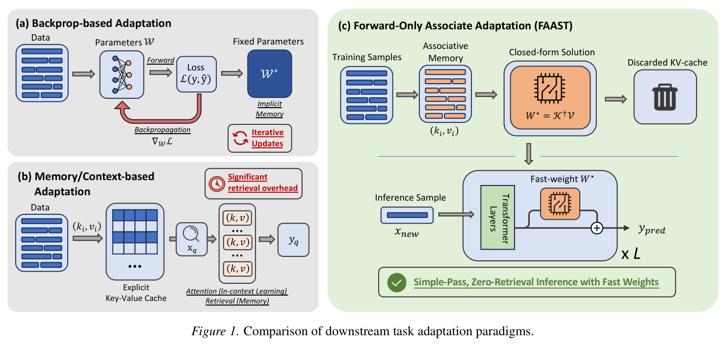 Comparison of downstream task adaptation paradigms.