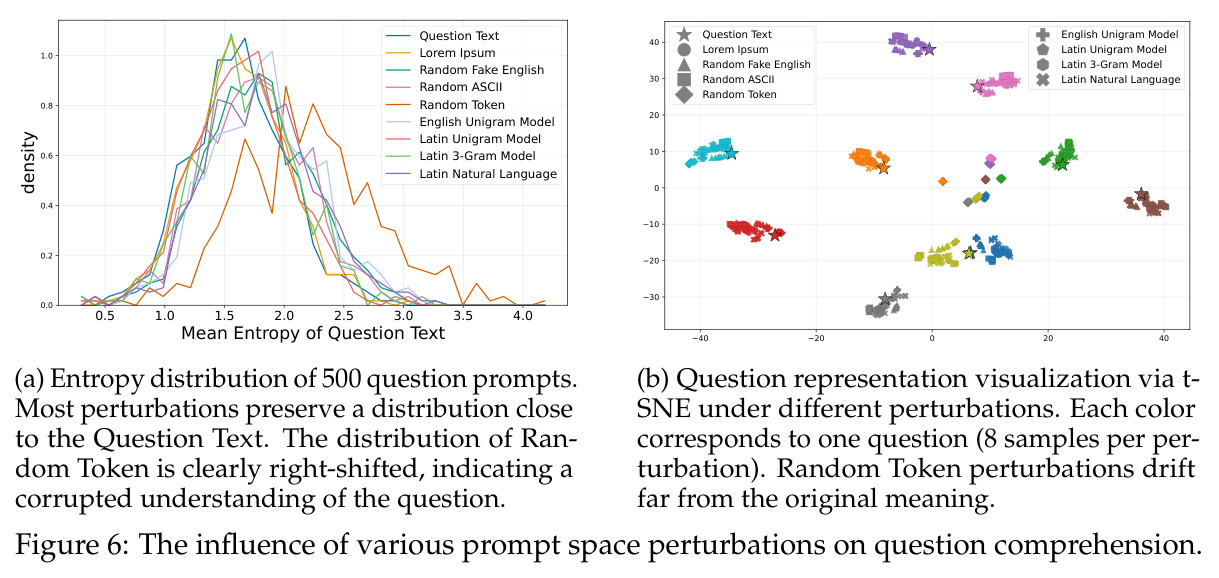 The influence of various prompt space perturbations on question comprehension.