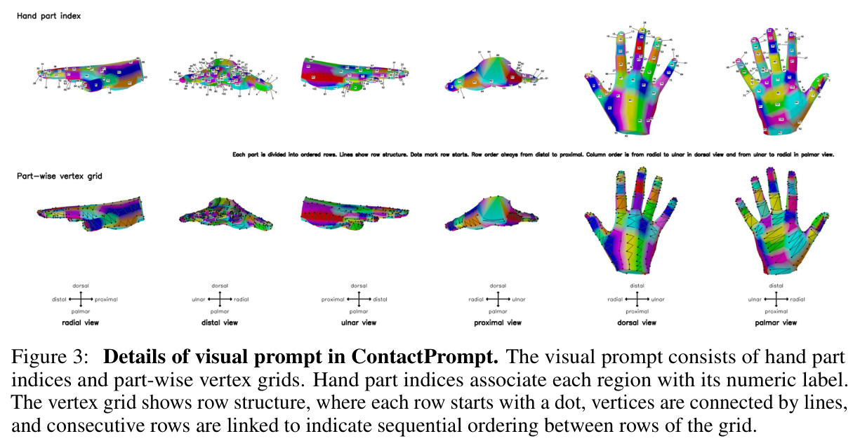 Details of visual prompt in ContactPrompt. The visual prompt consists of hand part indices and part-wise vertex grids. Hand part indices associate each region with its numeric label. The vertex grid shows row structure, where each row starts with a dot, vertices are connected by lines, and consecutive rows are linked to indicate sequential ordering between rows of the grid.