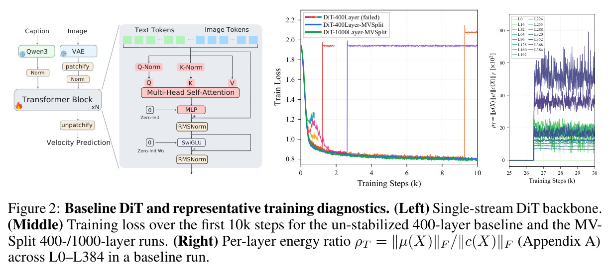Baseline DiT and representative training diagnostics.