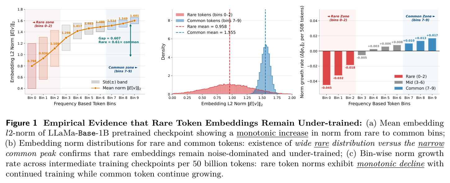 Empirical Evidence that Rare Token Embeddings Remain Under-trained