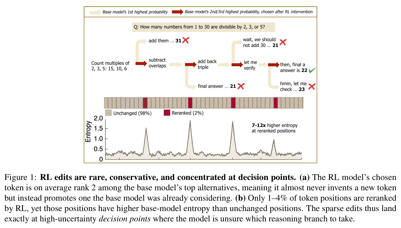 RL edits are rare, conservative, and concentrated at decision points