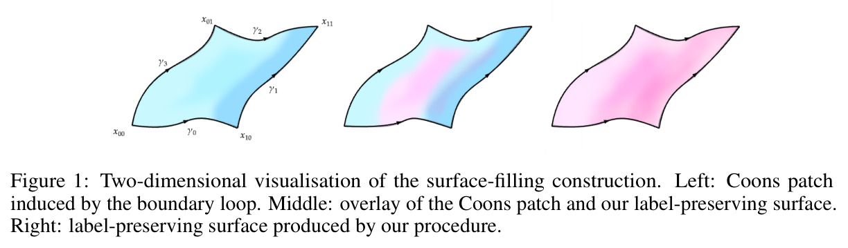 Two-dimensional visualisation of the surface-filling construction.