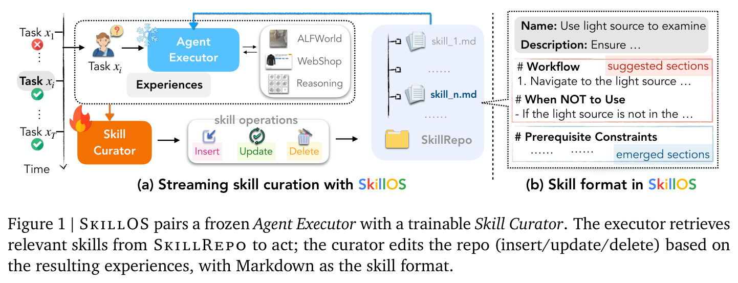 Streaming skill curation with SkillOS 与技能格式示意图