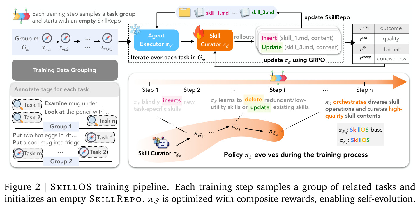 SkillOS training pipeline