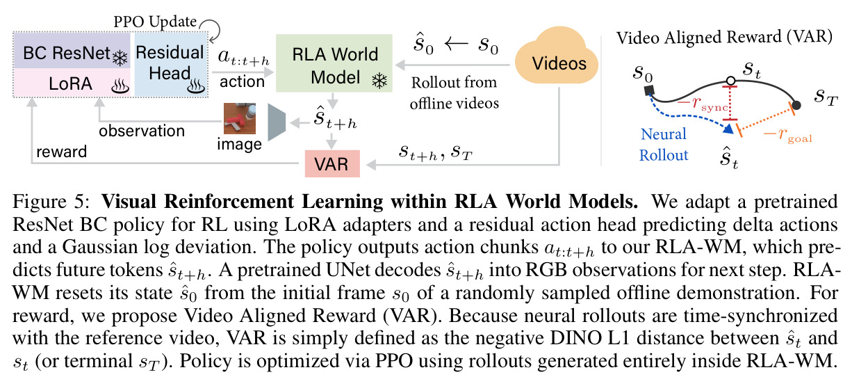 Visual Reinforcement Learning within RLA World Models