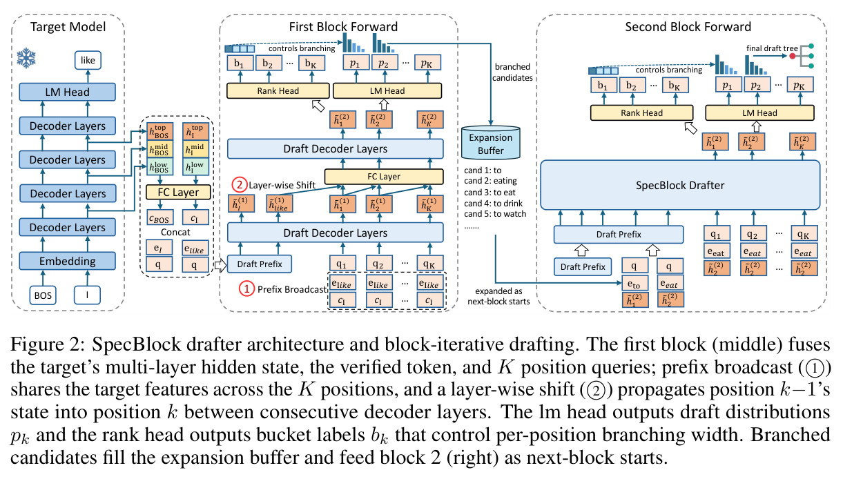 SpecBlock drafter architecture and block-iterative drafting.