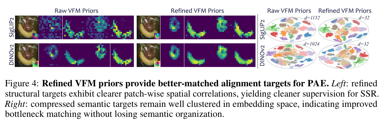 Refined VFM priors provide better-matched alignment targets for PAE