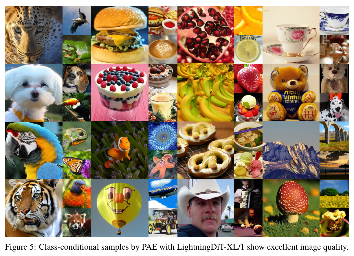 Class-conditional samples by PAE with LightningDiT-XL/1