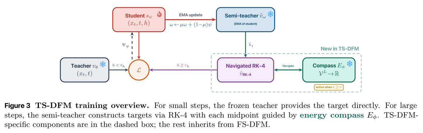 TS-DFM training overview. For small steps, the frozen teacher provides the target directly. For large steps, the semi-teacher constructs targets via RK-4 with each midpoint guided by energy compass E_φ.
