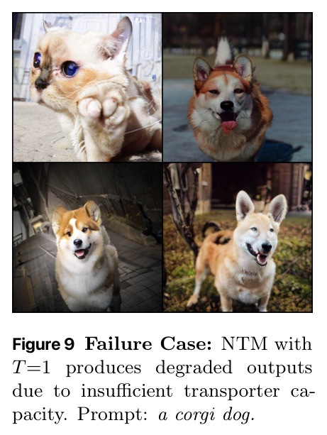Failure Case: NTM with T=1 produces degraded outputs due to insufficient transporter capacity. Prompt: a corgi dog.