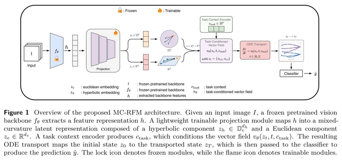 Overview of the proposed MC-RFM architecture.