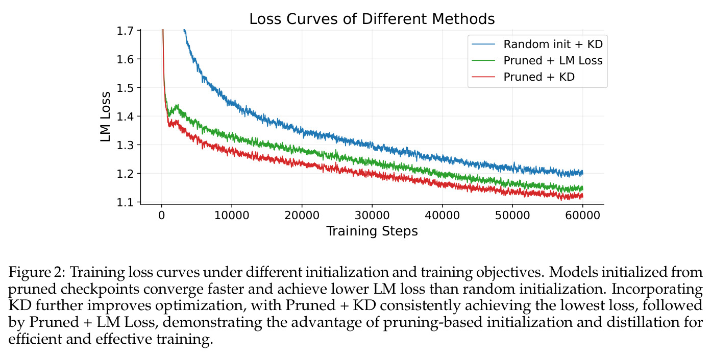 Training loss curves under different initialization and training objectives