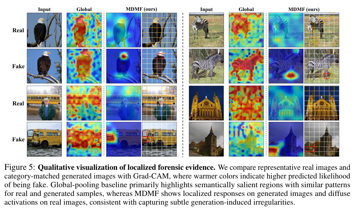 Qualitative visualization of localized forensic evidence.