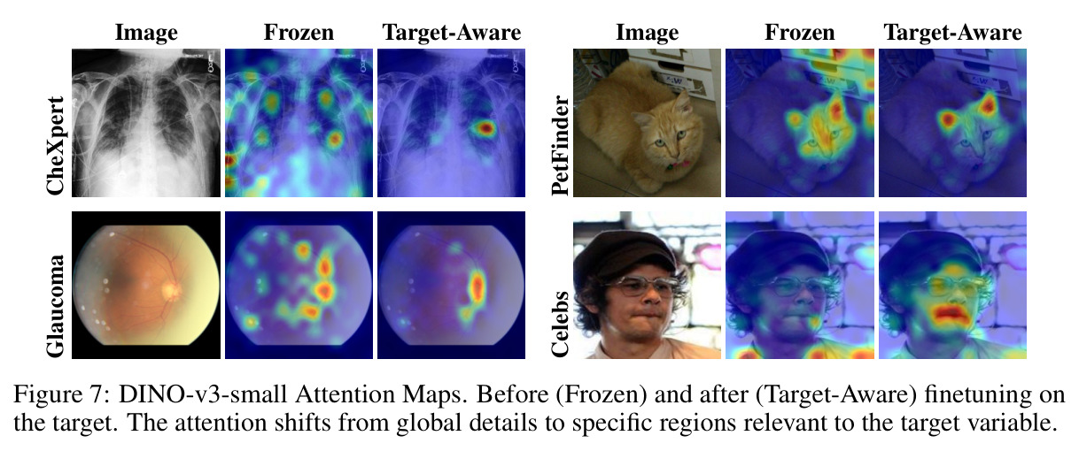 DINO-v3-small Attention Maps. Before (Frozen) and after (Target-Aware) finetuning on the target.