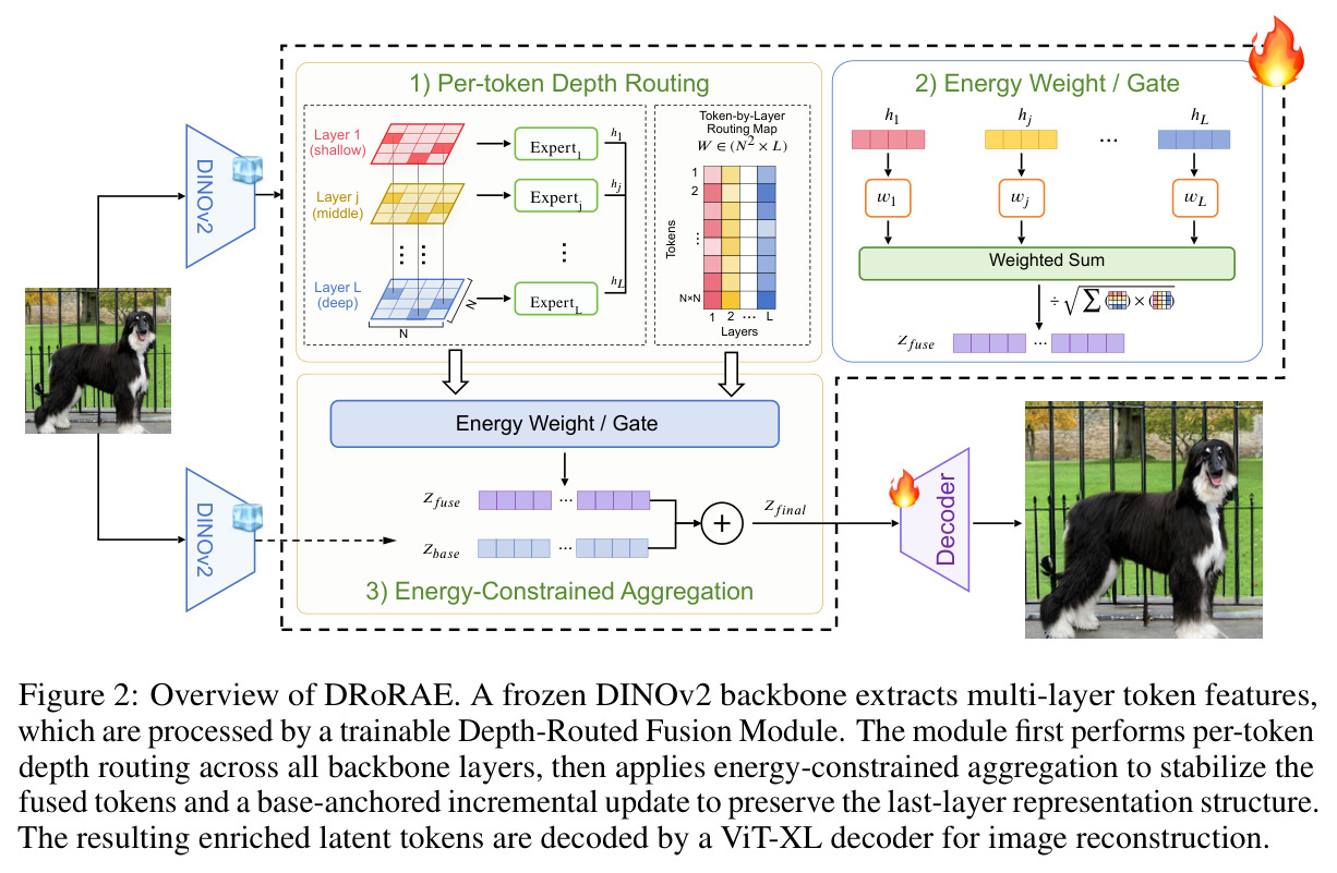 Overview of DRoRAE