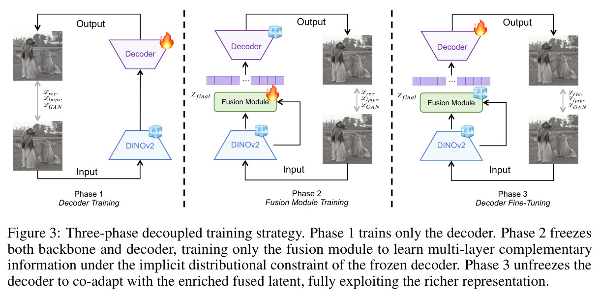 Three-Phase Decoupled Training Strategy