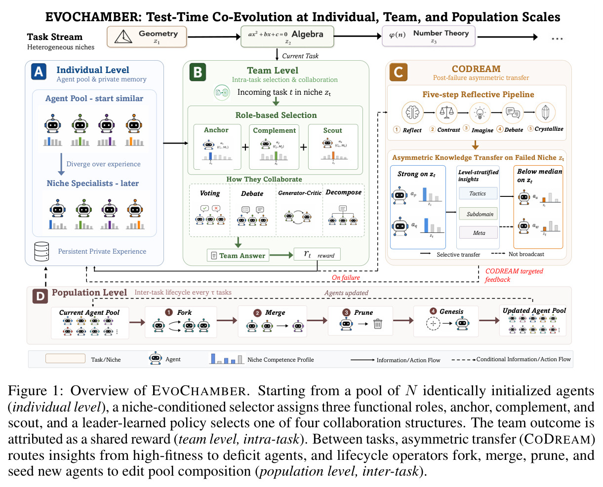 Overview of EVOCHAMBER. Starting from a pool of N identically initialized agents (individual level), a niche-conditioned selector assigns three functional roles, anchor, complement, and scout, and a leader-learned policy selects one of four collaboration structures. The team outcome is attributed as a shared reward (team level, intra-task). Between tasks, asymmetric transfer (CODREAM) routes insights from high-fitness to deficit agents, and lifecycle operators fork, merge, prune, and seed new agents to edit pool composition (population level, inter-task).
