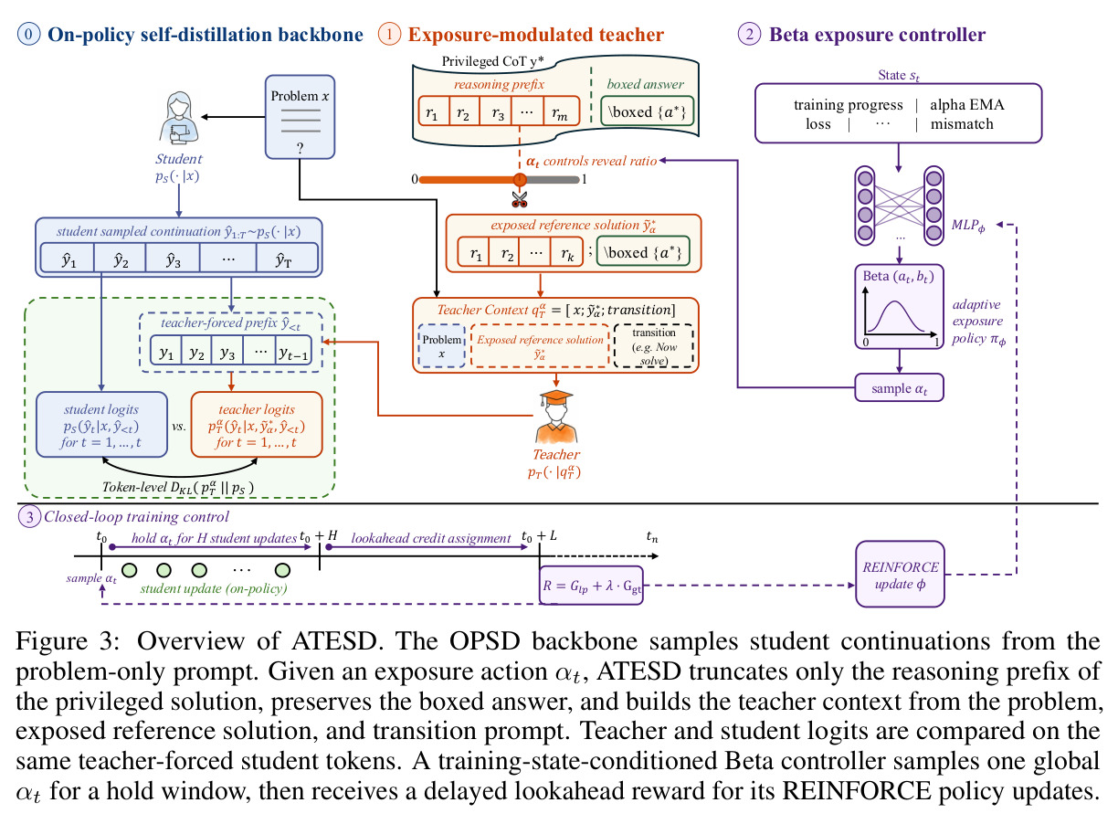 Overview of ATESD. The OPSD backbone samples student continuations from the problem-only prompt. Given an exposure action αt, ATESD truncates only the reasoning prefix of the privileged solution, preserves the boxed answer, and builds the teacher context from the problem, exposed reference solution, and transition prompt.