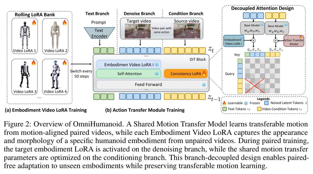 Overview of OmniHumanoid. A Shared Motion Transfer Model learns transferable motion from motion-aligned paired videos, while each Embodiment Video LoRA captures the appearance and morphology of a specific humanoid embodiment from unpaired videos.
