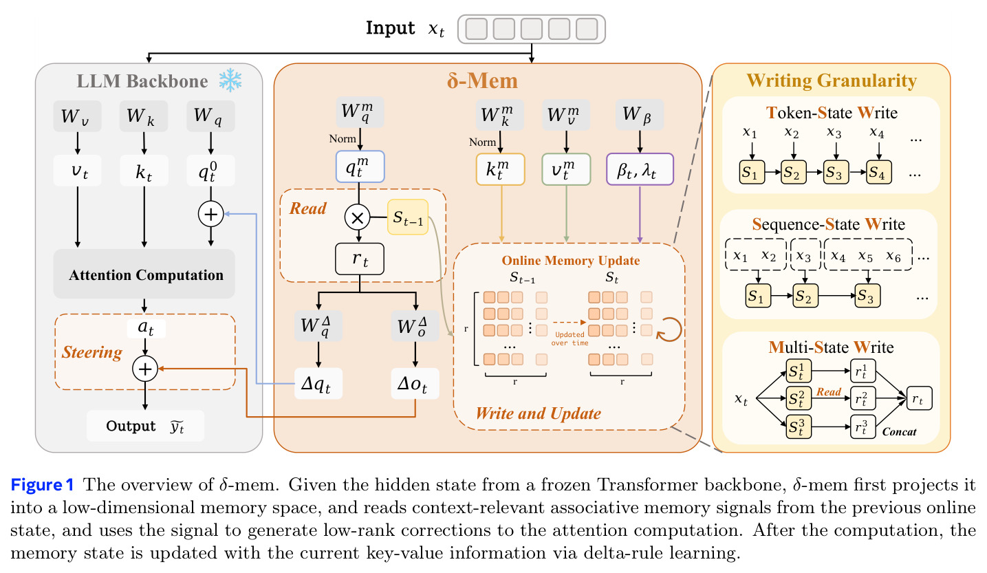 The overview of δ-mem
