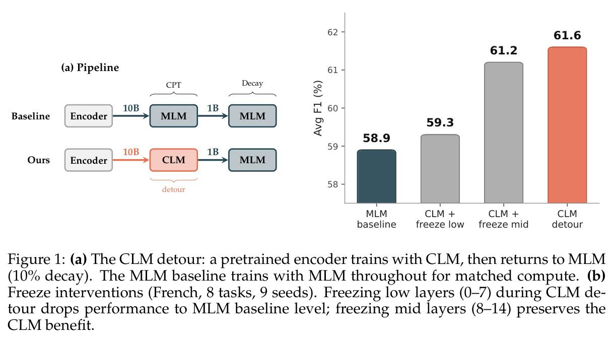 (a) The CLM detour pipeline: pretrained encoder trains with CLM, then returns to MLM (10% decay). The MLM baseline trains with MLM throughout for matched compute. (b) Freeze interventions (French, 8 tasks, 9 seeds). Freezing low layers (0-7) during CLM detour drops performance to MLM baseline level; freezing mid layers (8-14) preserves the CLM benefit.