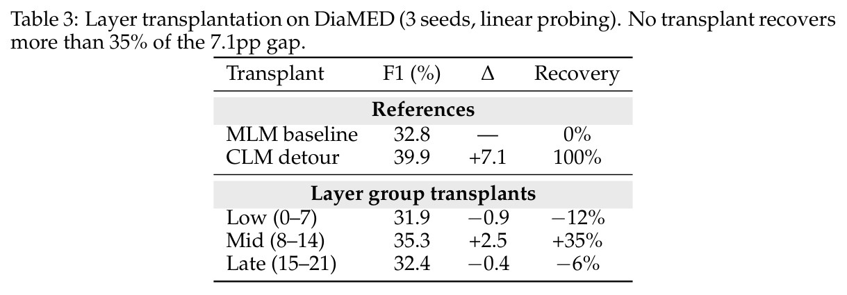 Layer transplantation on DiaMED (3 seeds, linear probing). No transplant recovers more than 35% of the 7.1pp gap.