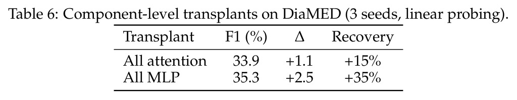 English biomedical results across 11 benchmarks (5 seeds each). Base models trained at 10B and 50B token scales; Large at 50B.