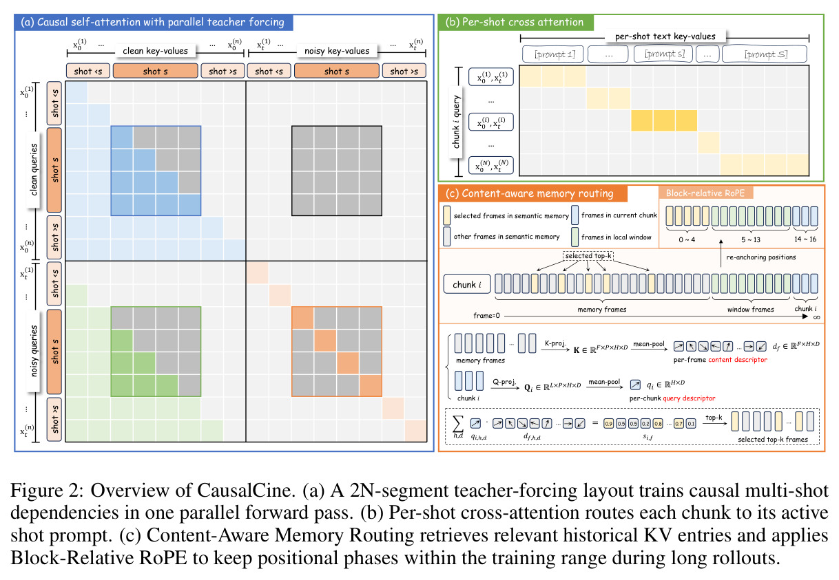 Overview of CausalCine. (a) A 2N-segment teacher-forcing layout trains causal multi-shot dependencies in one parallel forward pass. (b) Per-shot cross-attention routes each chunk to its active shot prompt. (c) Content-Aware Memory Routing retrieves relevant historical KV entries and applies Block-Relative RoPE to keep positional phases within the training range during long rollouts.