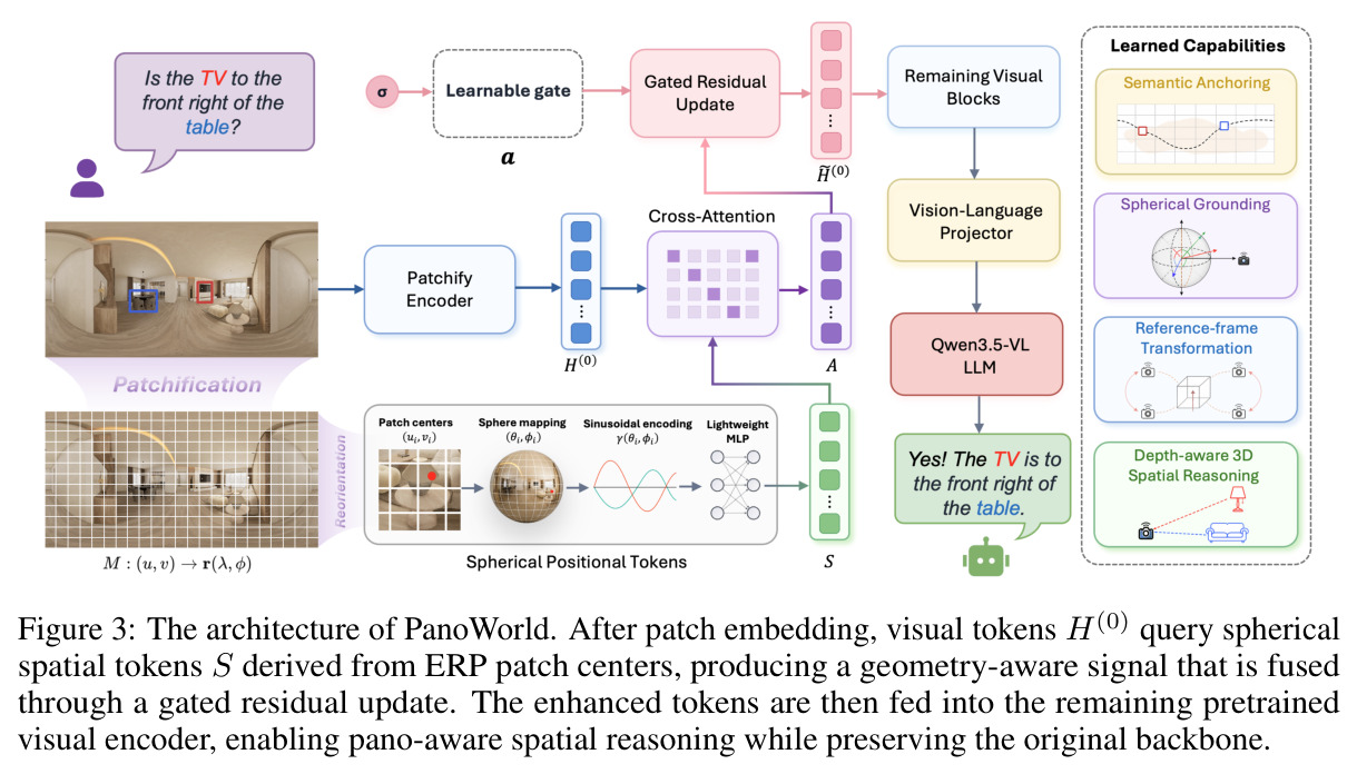 The architecture of PanoWorld. After patch embedding, visual tokens H^(0) query spherical spatial tokens S derived from ERP patch centers.