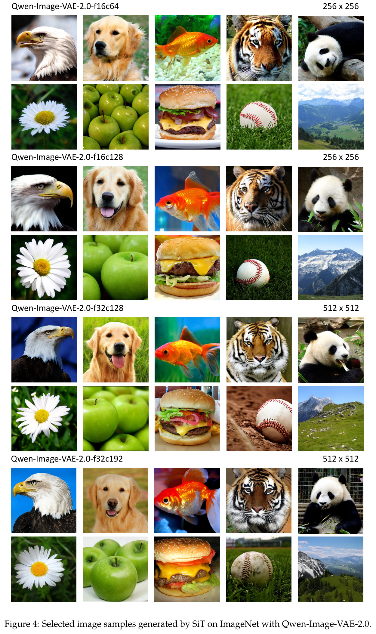 Selected image samples generated by SiT on ImageNet with Qwen-Image-VAE-2.0.