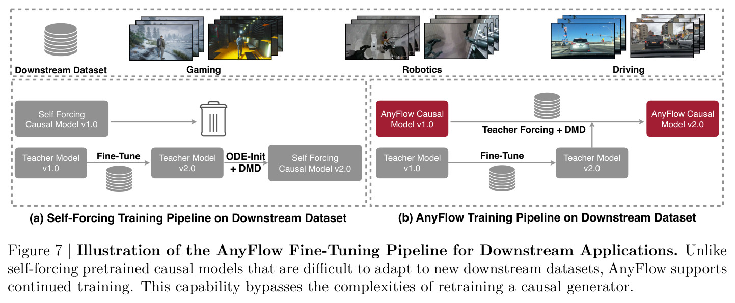 Illustration of the AnyFlow Fine-Tuning Pipeline for Downstream Applications