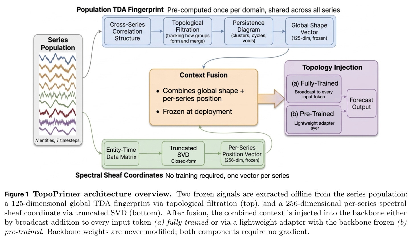 TopoPrimer architecture overview