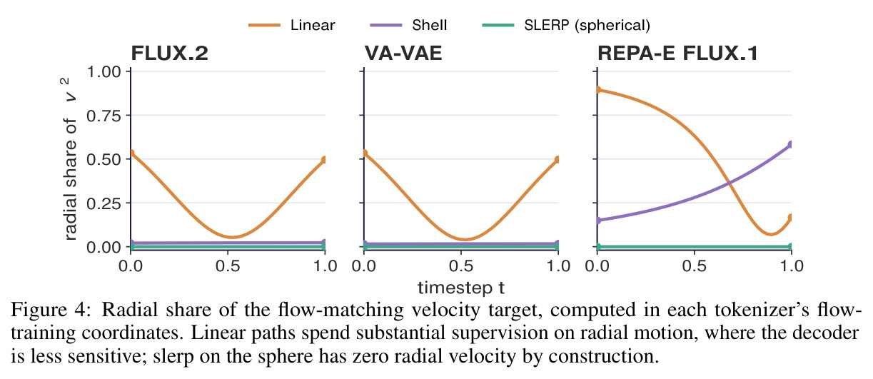 Radial share of the flow-matching velocity target.