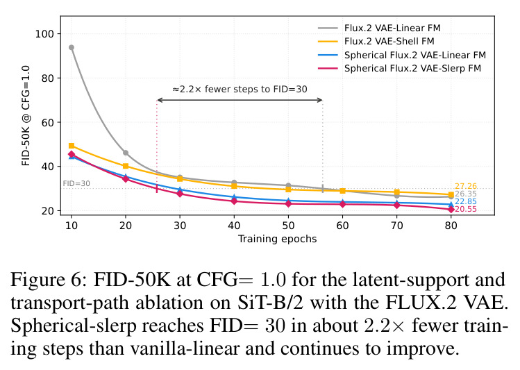 FID-50K at CFG=1.0 for the latent-support and transport-path ablation on SiT-B/2 with the FLUX.2 VAE.