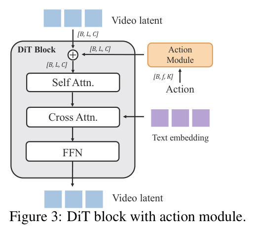 DiT block with action module