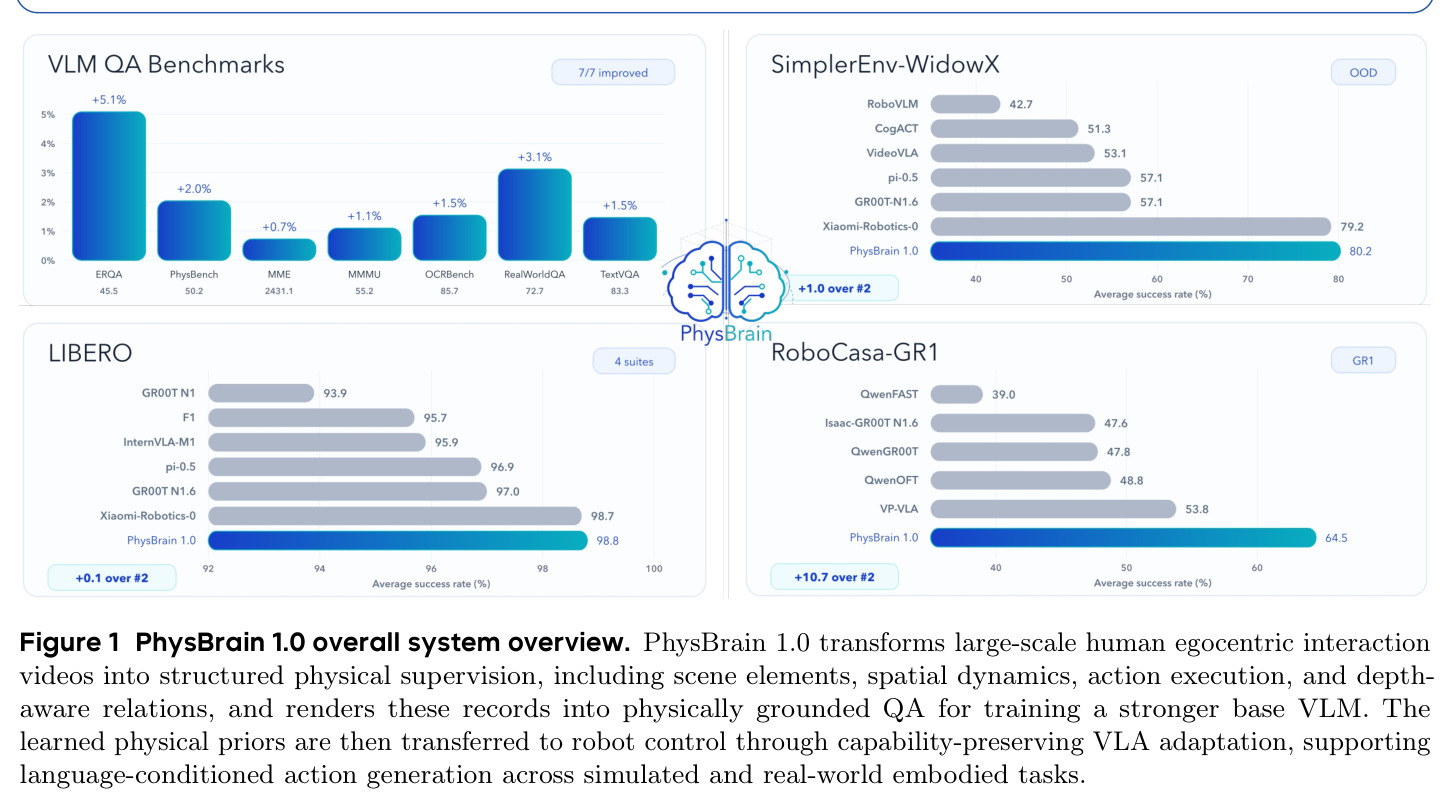 PhysBrain 1.0 overall system overview.