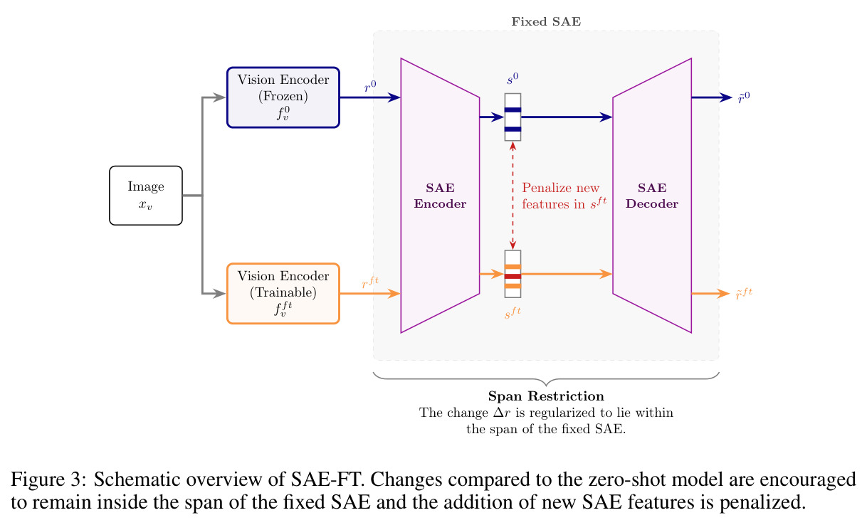 Schematic overview of SAE-FT