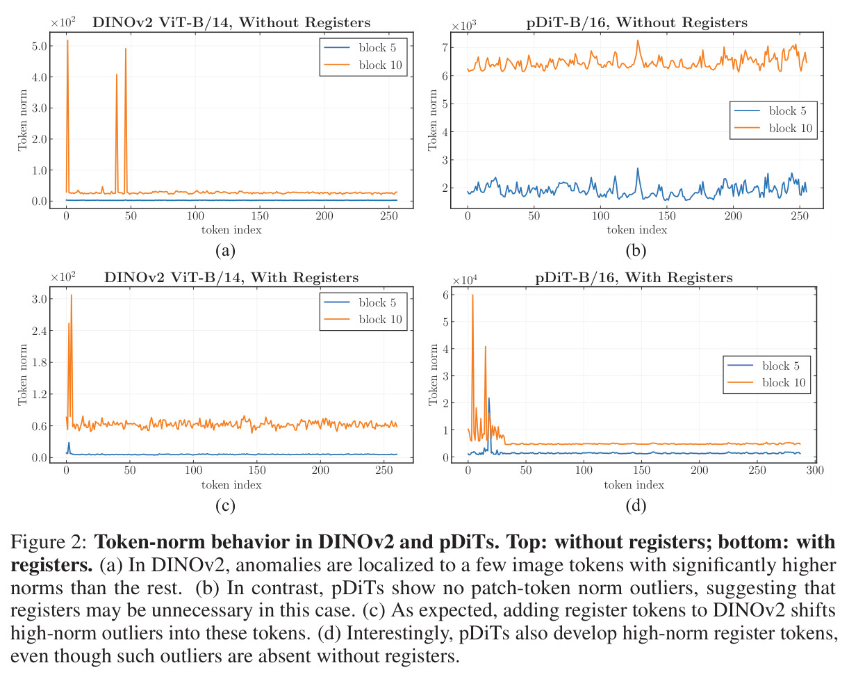Token-norm behavior in DINOv2 and pDiTs