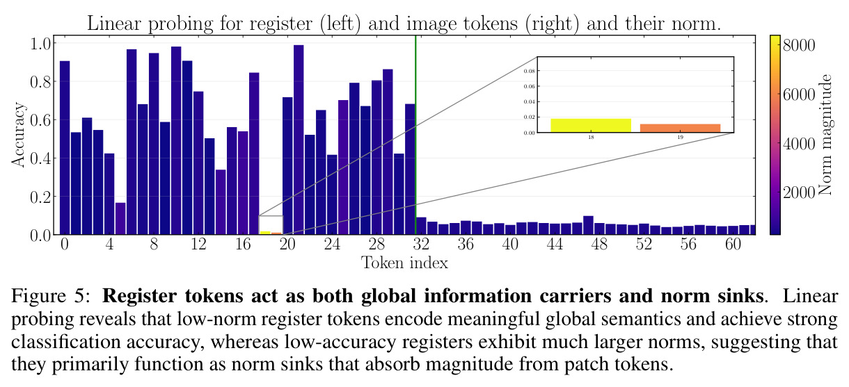 Register tokens act as both global information carriers and norm sinks