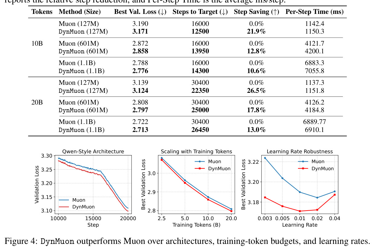 DynMuon outperforms Muon over architectures, training-token budgets, and learning rates.