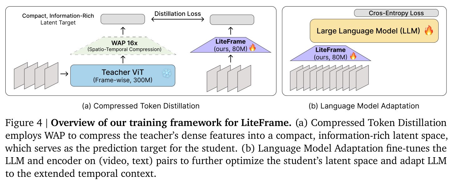 Overview of our training framework for LiteFrame
