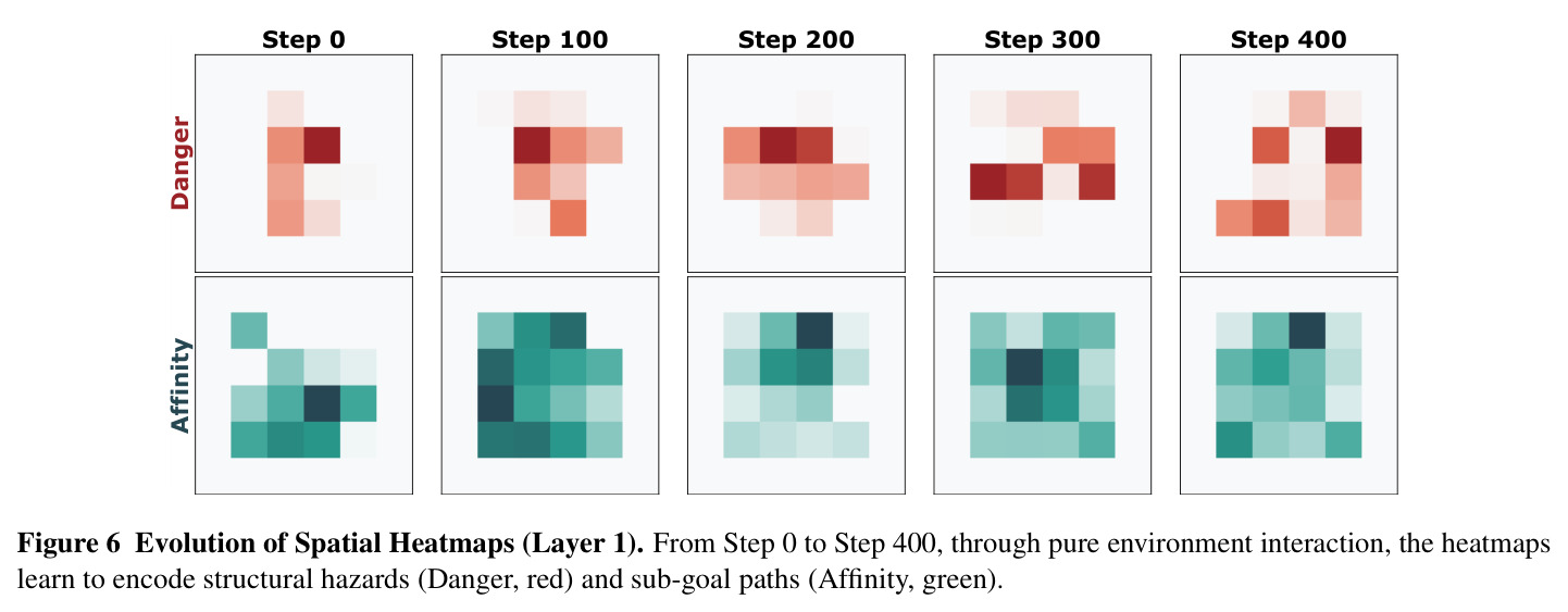 Evolution of Spatial Heatmaps (Layer 1).
