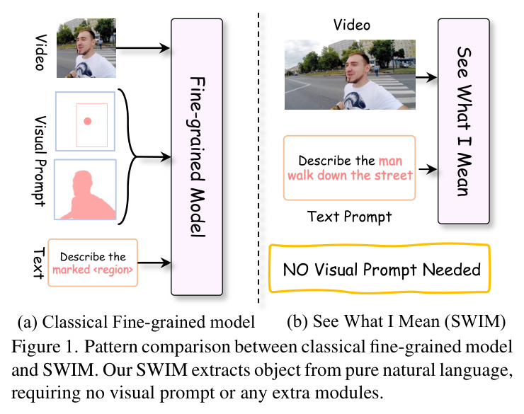 Pattern comparison between classical fine-grained model and SWIM.