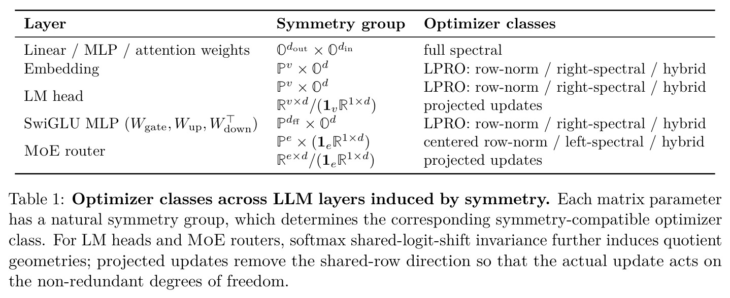 Optimizer classes across LLM layers induced by symmetry.