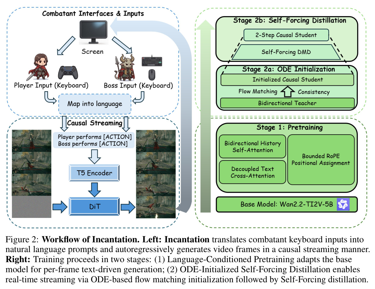 Workflow of Incantation: streaming autoregressive video generation conditioned on natural language (left) and two-stage training pipeline (right)