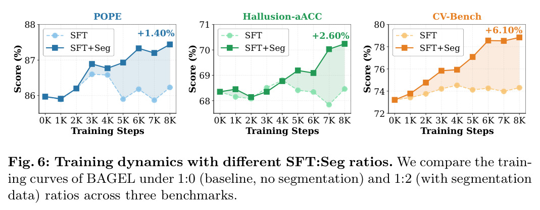 Training dynamics with different SFT:Seg ratios.